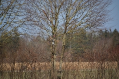 D71_5125