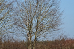 D71_5126