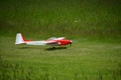 D71_8237