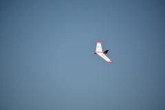 D71_0655