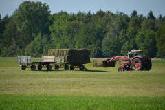 D71_0708