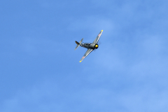 DSC_3346_00001