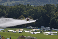 DSC_3531_00001