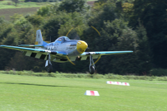 DSC_3716_00001