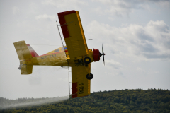 D71_4160