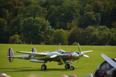 D71_4388