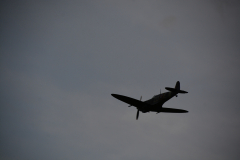 D71_4600