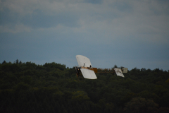 D71_4623