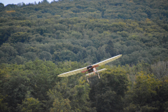 D71_4628