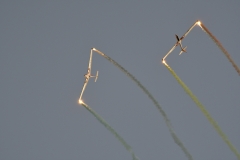 DSC6425001