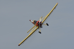 DSC6630007