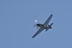 DSC8187023