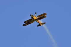 DSC8295028