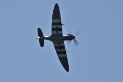 DSC8868040
