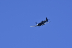 DSC8874041