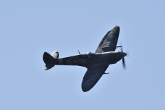 DSC8940043