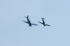 DSC_6900060