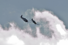 DSC_6905061