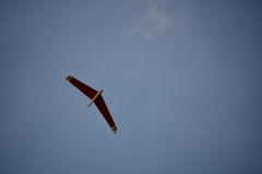 D71_5356