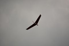 D71_5358