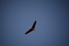 D71_5364