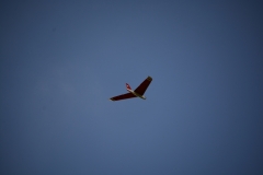 D71_5365