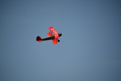 D71_5828