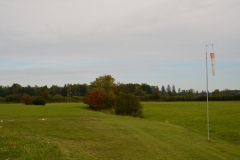 D71_6546