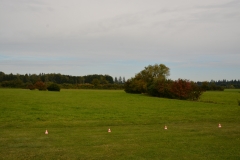 D71_6547