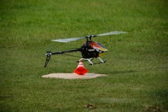 D71_6596