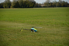 D71_0839