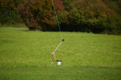 D71_4708