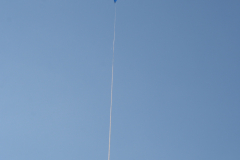 D71_4731