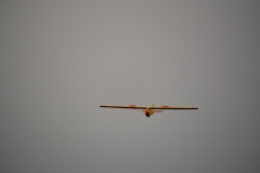 D71_7545