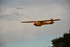 D71_7547