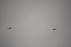D71_7560