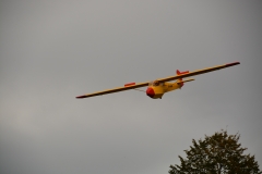 D71_7570