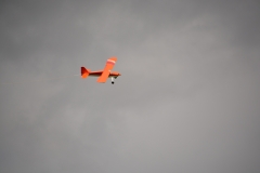 D71_7584