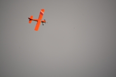 D71_7585