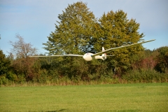 D71_7729