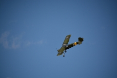 D71_7785