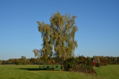 D71_4872