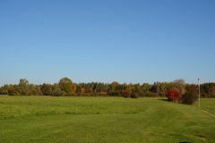 D71_4873
