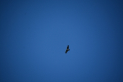 D71_4880