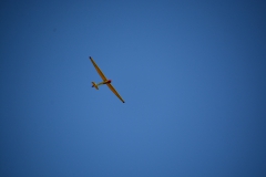 D71_4881