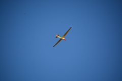 D71_4882