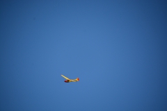 D71_4883