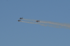 DSC_8087_00001
