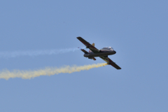 DSC_8138_00001