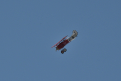 DSC_8170_00001
